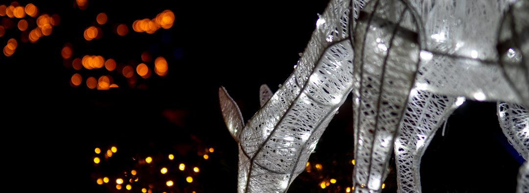 Lichtgevend hert met kerstverlichting