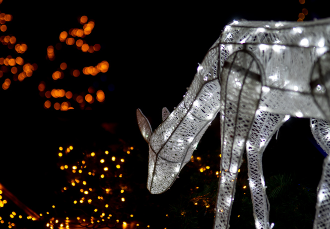 Lichtgevend hert met kerstverlichting