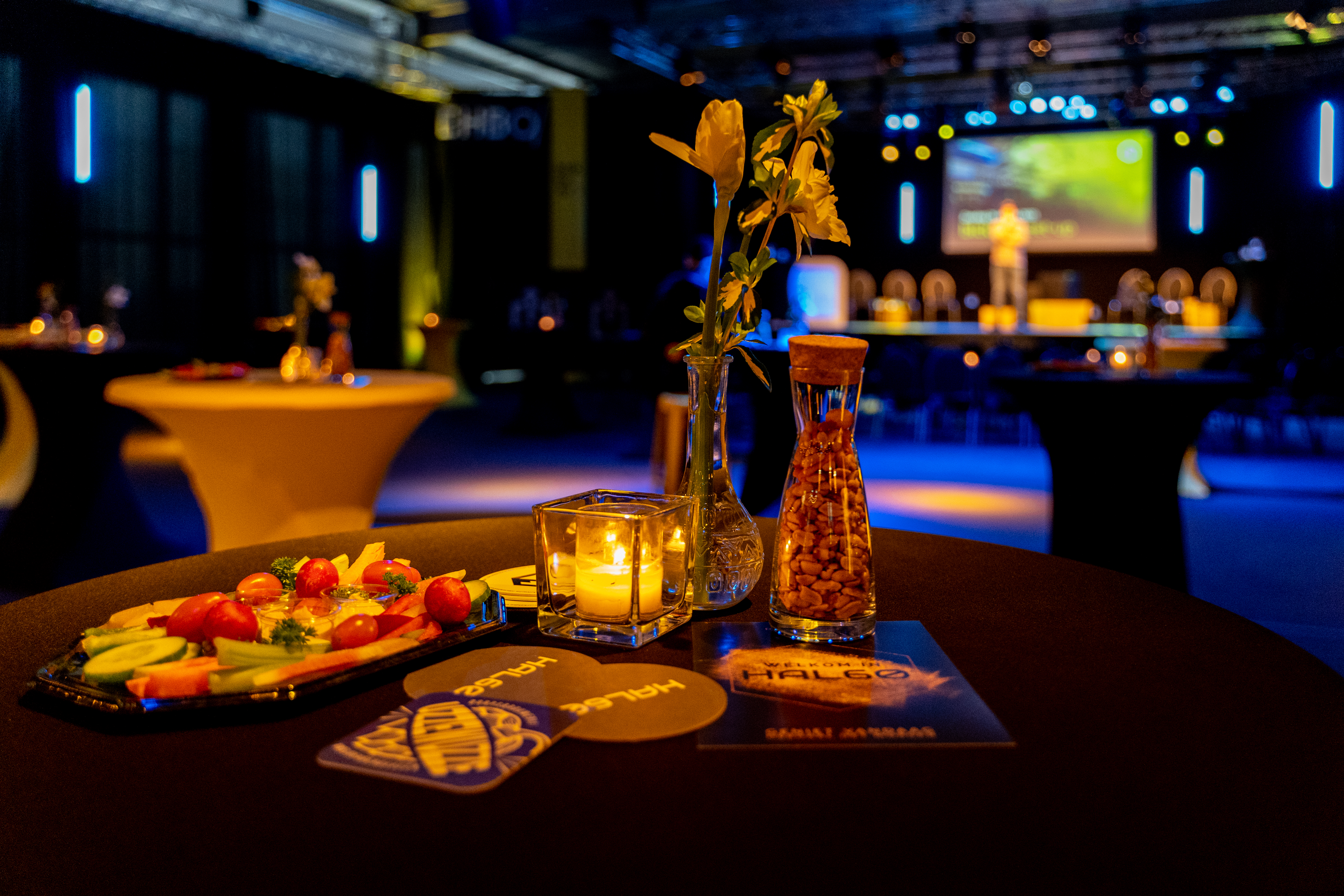 Dikke Vrienden Spelshow in HAL60